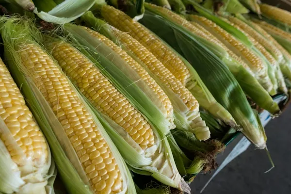 Frozen Sweet Corn