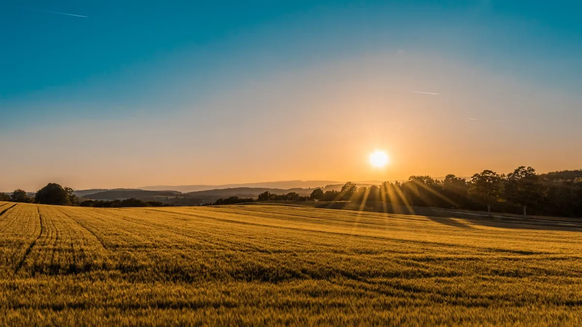 Wide angle farm fields