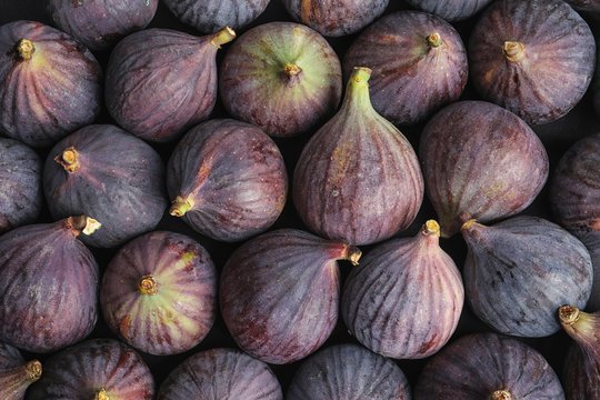 Frozen Fig