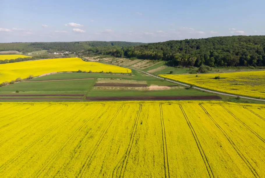 Griland Egypt Food Processing