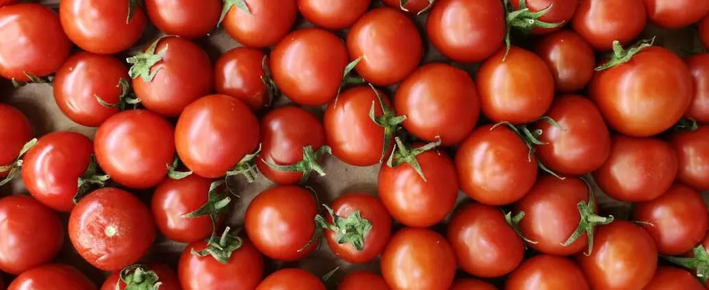 Tomato Paste & Concentrate